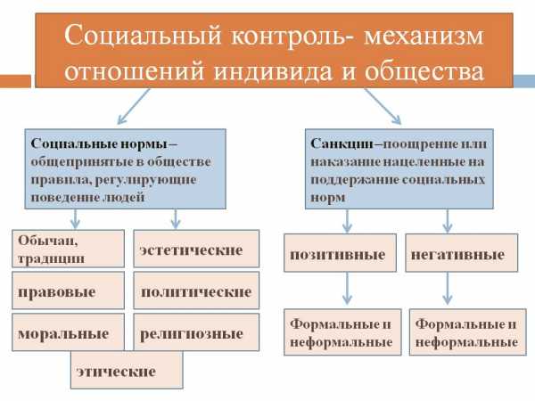 Реферат: Учет основных средств на примере СПК Кудрявщинский
