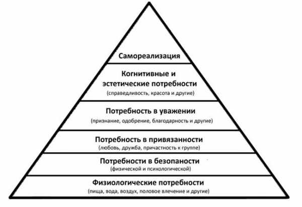 Сложный план потребности и интересы