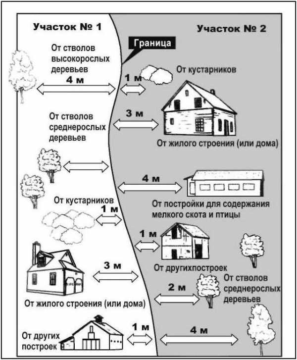 Схема посадки патиссонов в открытом грунте расстояние между рядами и в ряду