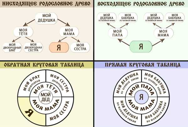 Правила графического изображения родословной