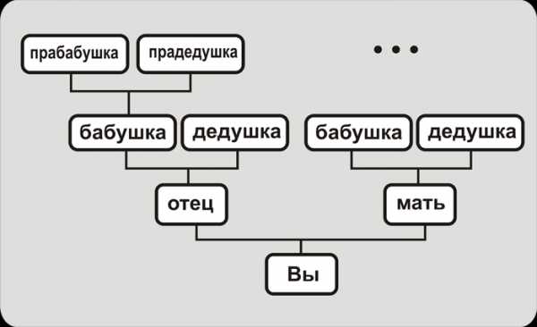 По изображенной на схеме родословной человека определите вероятность рождения ребенка с признаком 1