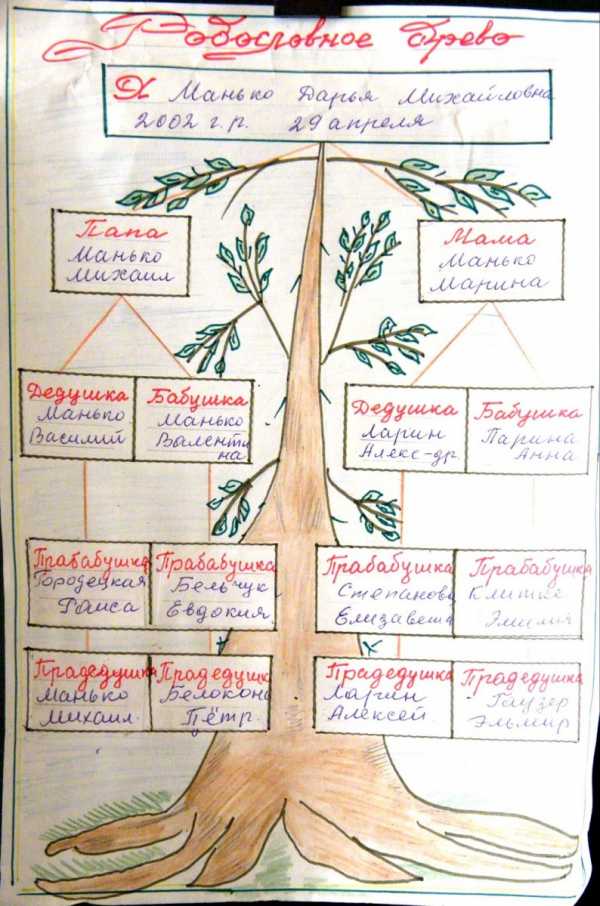 Как составить древо семьи образец схема