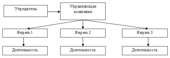 Схема холдинга пример