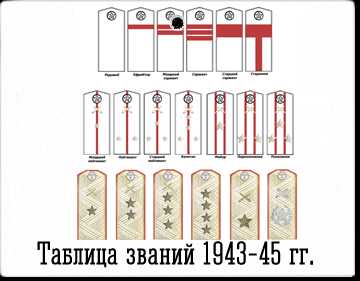 Погоны старшего сержанта российской армии фото
