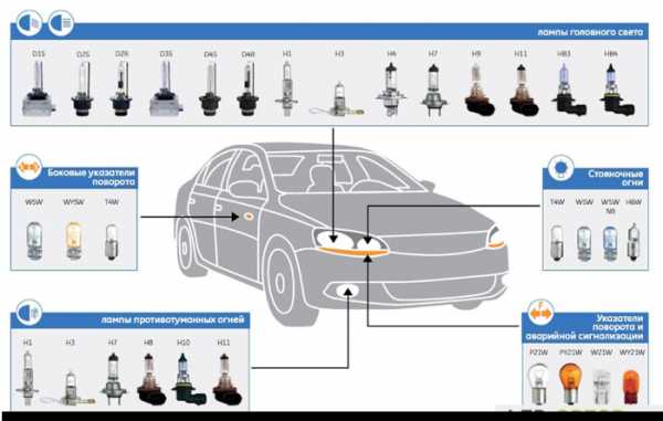 Виды световых приборов автомобиля