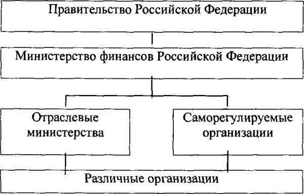 Кто осуществляет общее методологическое руководство бухгалтерским учетом в российской федерации